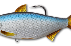 Soft Plastics Live Target Golden Shiner Swimbait Silver Blue