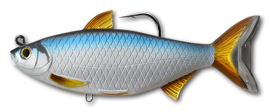 Soft Plastics Live Target Golden Shiner Swimbait Silver Blue 1 Soft Plastics Live Target Golden Shiner Swimbait Silver Blue