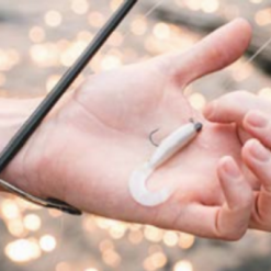 Soft Plastics Daiwa BaitJunkie 2.5 Inch Grub Soft Plastic 6 Soft Plastics Daiwa BaitJunkie 2.5 Inch Grub Soft Plastic -Lures Sales Store Annotation 2020 07 01 123702 43397.1659590958