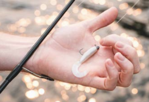 Soft Plastics Daiwa BaitJunkie 2.5 Inch Grub Soft Plastic 3 Soft Plastics Daiwa BaitJunkie 2.5 Inch Grub Soft Plastic - Image 3