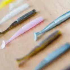 Soft Plastics Daiwa BaitJunkie 6.2 Inch Minnow Soft Plastic *CLEARANCE* -Lures Sales Store Annotation 2020 07 01 123720 81302 08347.1659678179