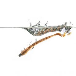 Soft Plastics Berkley Gulp 7" Turtleback Worm Lure - Blue Pepper Neon *CLEARANCE* -Lures Sales Store Berkley Turtleback in tank 1 03849.1652838517