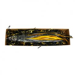 Skirts Small Lure Co. SLC Cruiser-T - Sakura/Washi Inaugural Pattern Limited Edition Skirt - Black -Lures Sales Store Black Box 39658.1638163917
